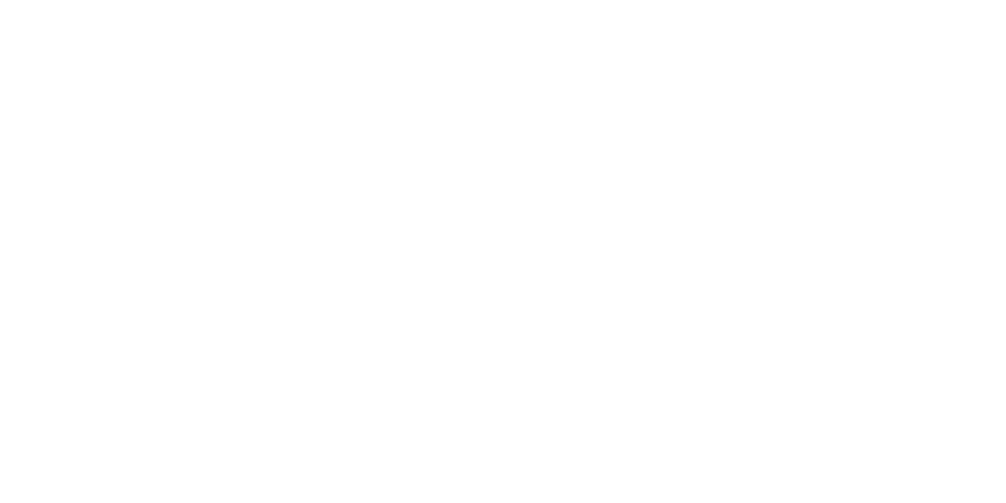 Meta Glasses