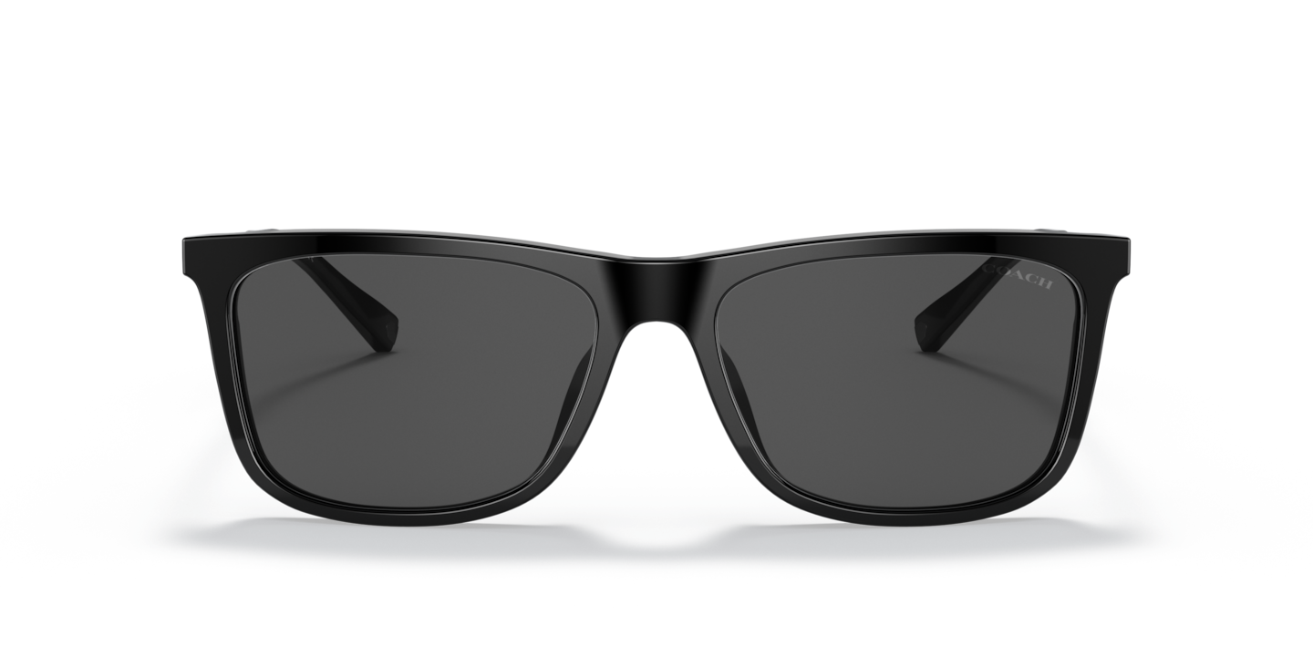 Sunglasses Coach HC8310U C2096 | Free Shipping | Glasses.com®