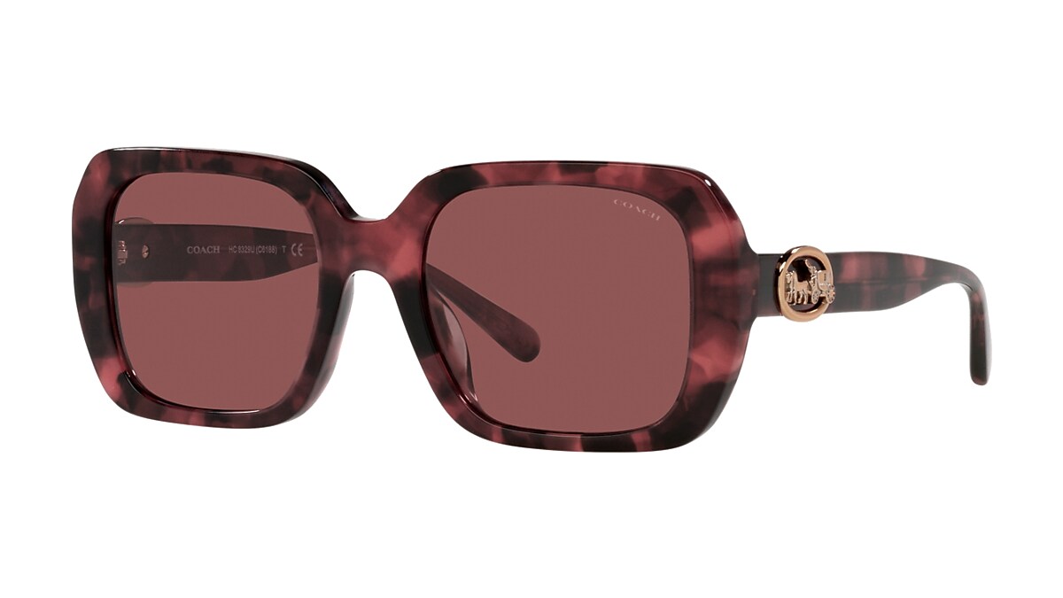 COACH®  Signature Chain Round Sunglasses