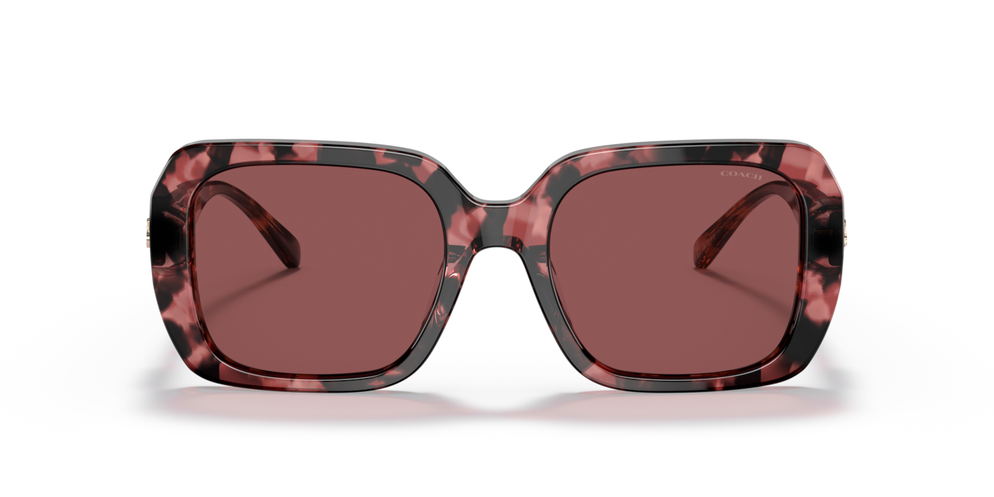 Coach Milky Wine Tortoise Sunglasses | Glasses.com® | Free Shipping