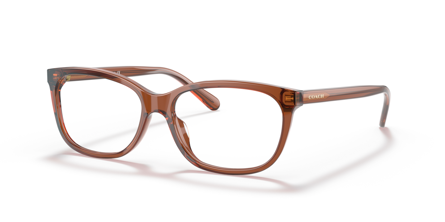 Coach Transparent Amber Eyeglasses | Glasses.com® | Free Shipping
