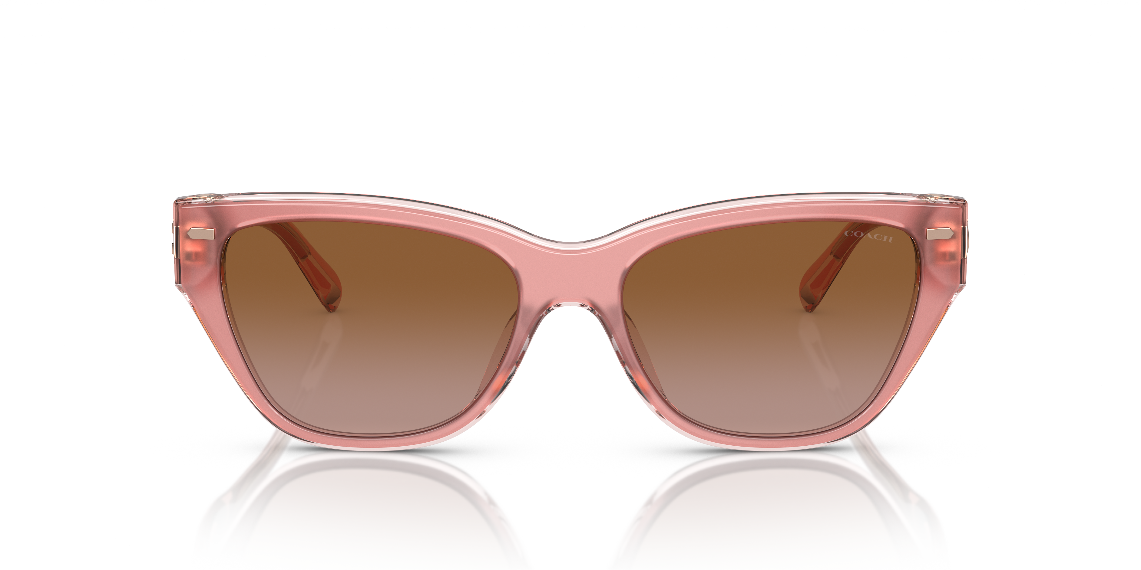 Women Cat Eye Sunglasses at Best Price in Surat | T Y Accessories