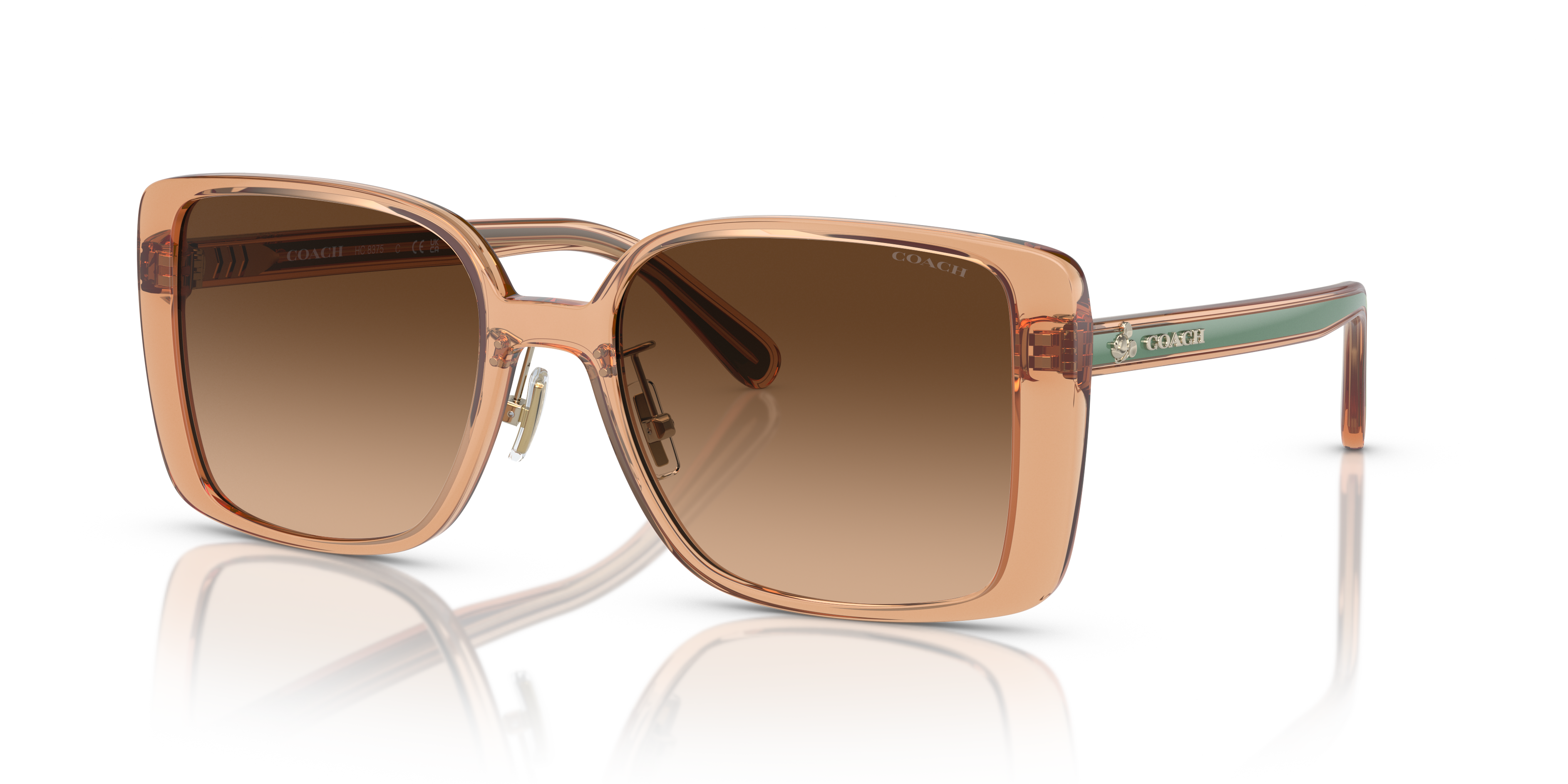 UPC 725125396486 product image for Coach Unisex Hc8375 Transparent Saddle Size: Large | upcitemdb.com