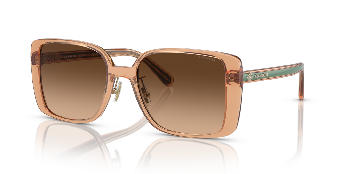 Coach Transparent Saddle Sunglasses | Glasses.com® | Free Shipping