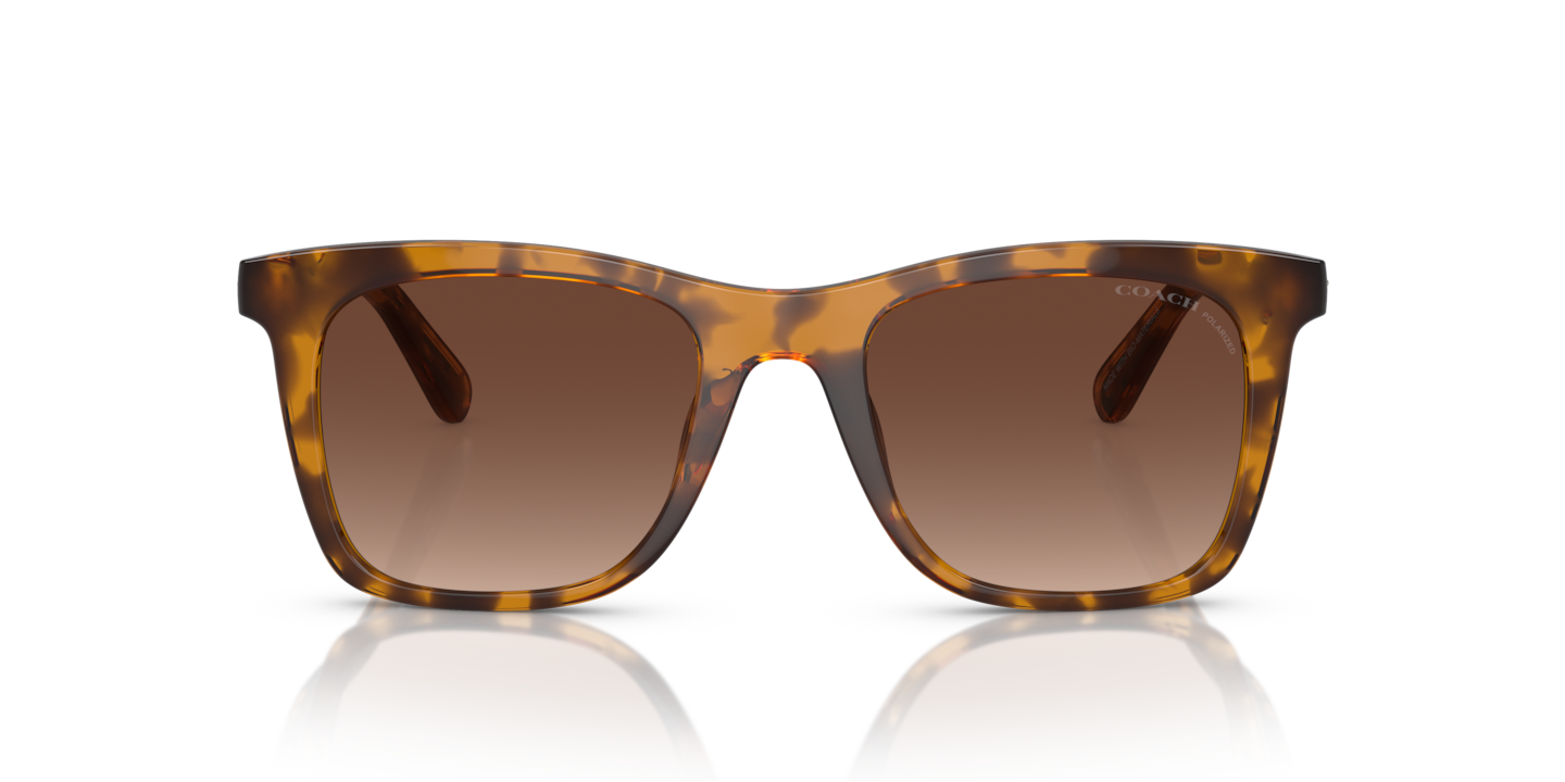 Coach sunglasses clearance frames