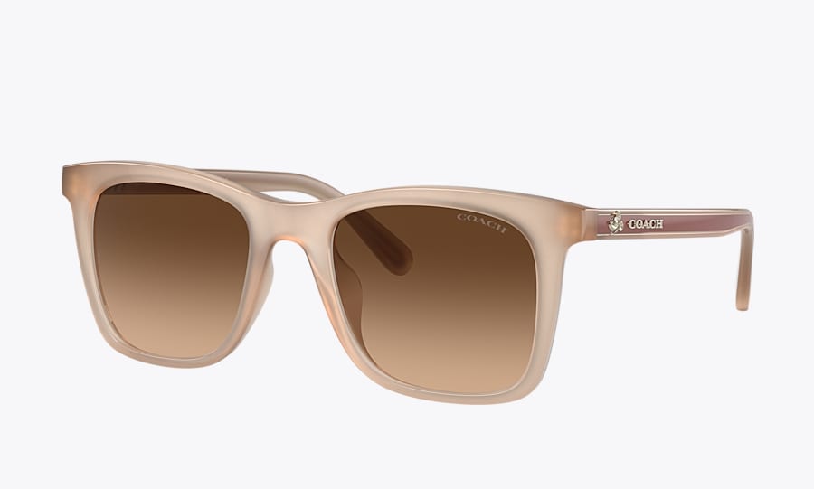 Coach prescription 2024 sunglasses online