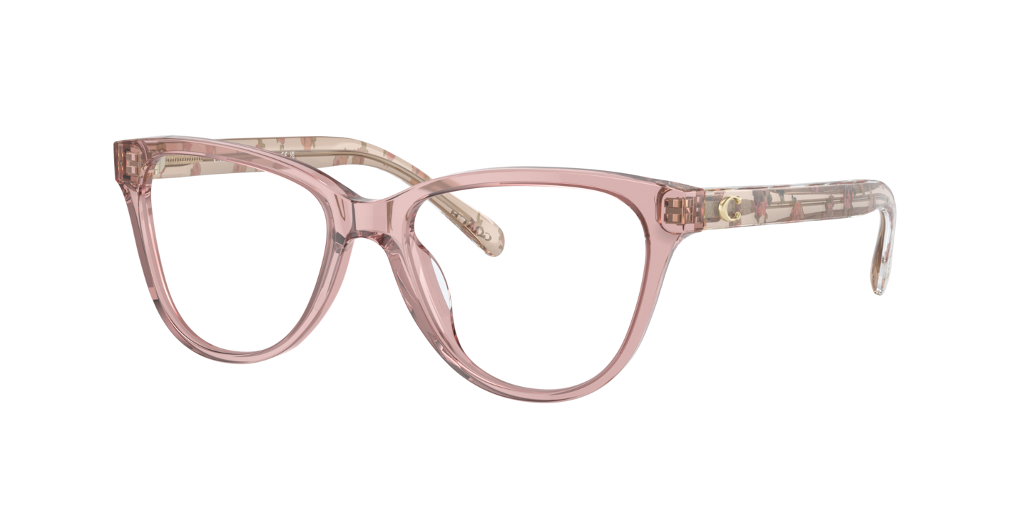 Coach HC6202U Transparent Rose