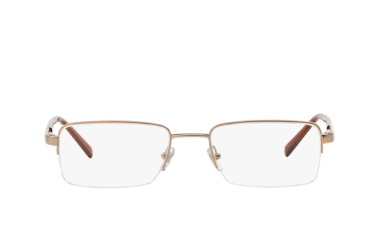 VE1066 Versace Bronze