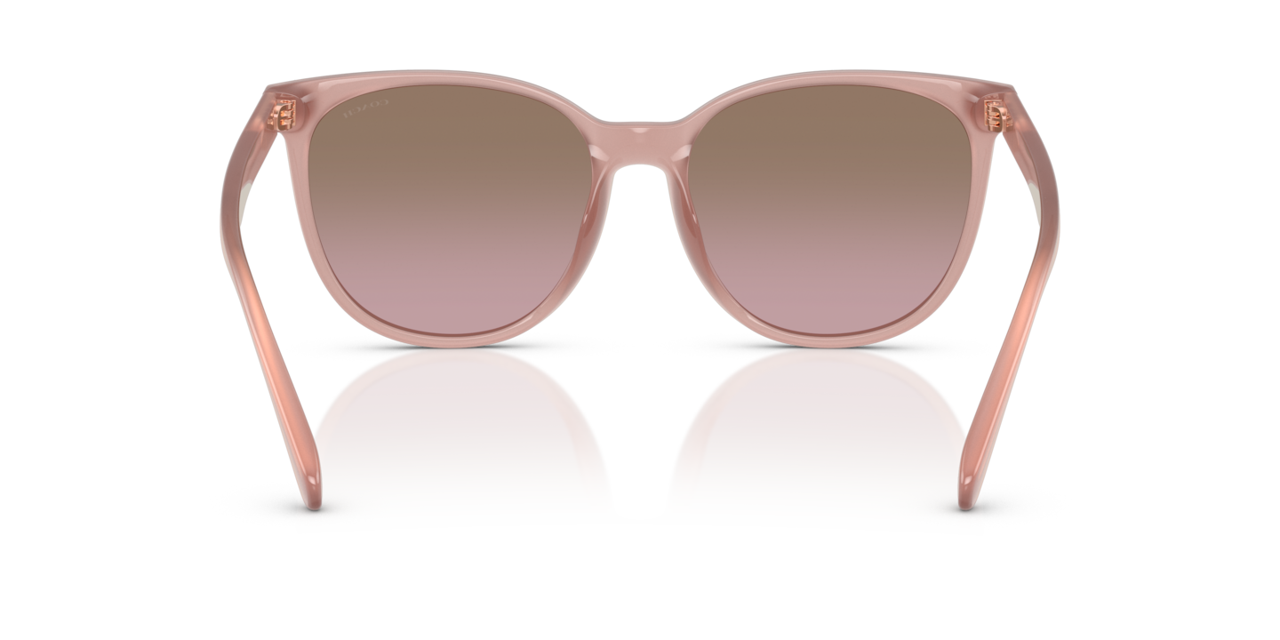 Sunglasses Coach HC8414BD CW428 | Free Shipping | Glasses.com® Sunglasses Coach HC8414BD CW428 | Free Shipping | Glasses.com®
