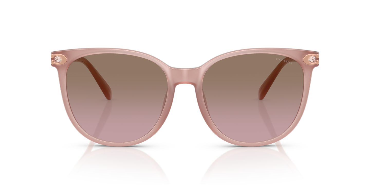 Sunglasses Coach HC8414BD CW428 | Free Shipping | Glasses.com® Sunglasses Coach HC8414BD CW428 | Free Shipping | Glasses.com®