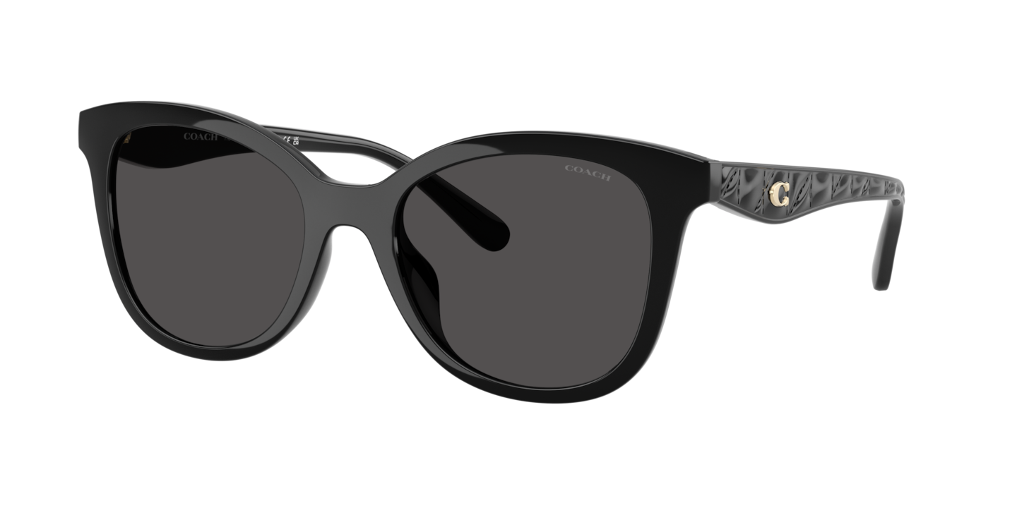 Coach HC8419U CAD25 Black