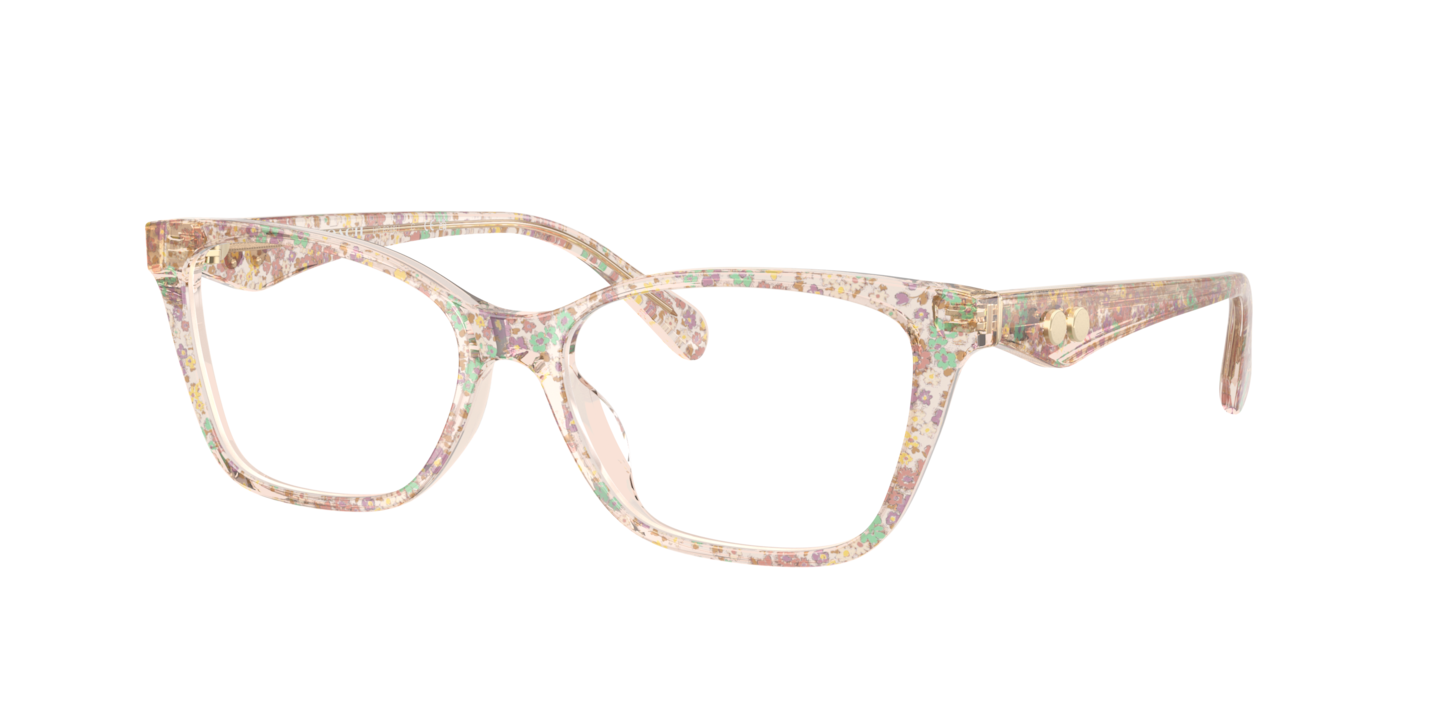 Coach HC6248U Transparent Floral Field