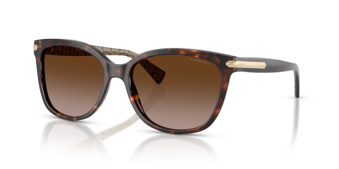 Coach HC8132 L109 Sunglasses