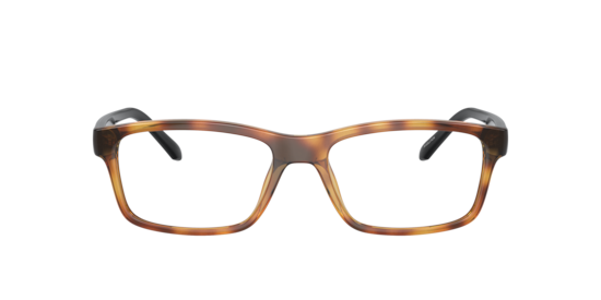 AN7237U A-Volution Arnette Shiny Dark Havana