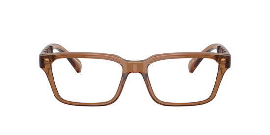 AX3116 Armani Exchange Shiny Transparent Brown