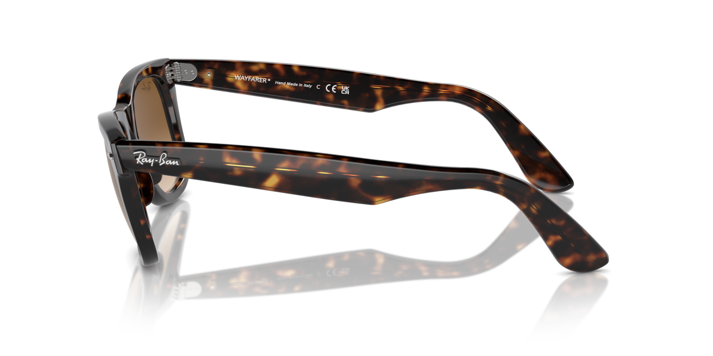 New wayfarer hotsell tortoise shell