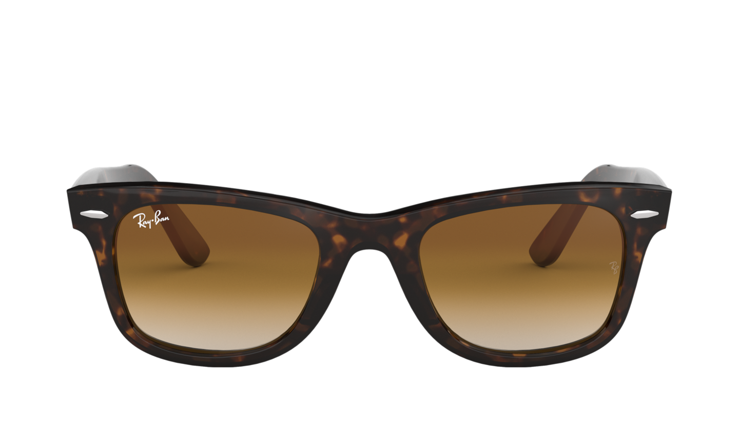 Tortoise shop wayfarer sunglasses