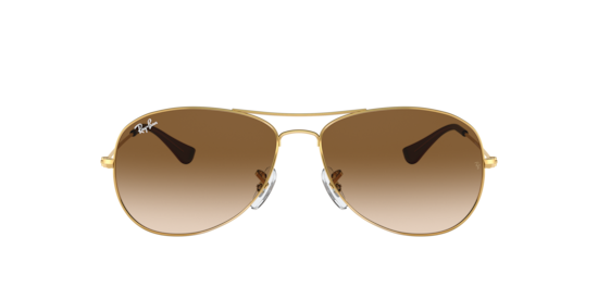 RB3362 Cockpit Ray-Ban Gold