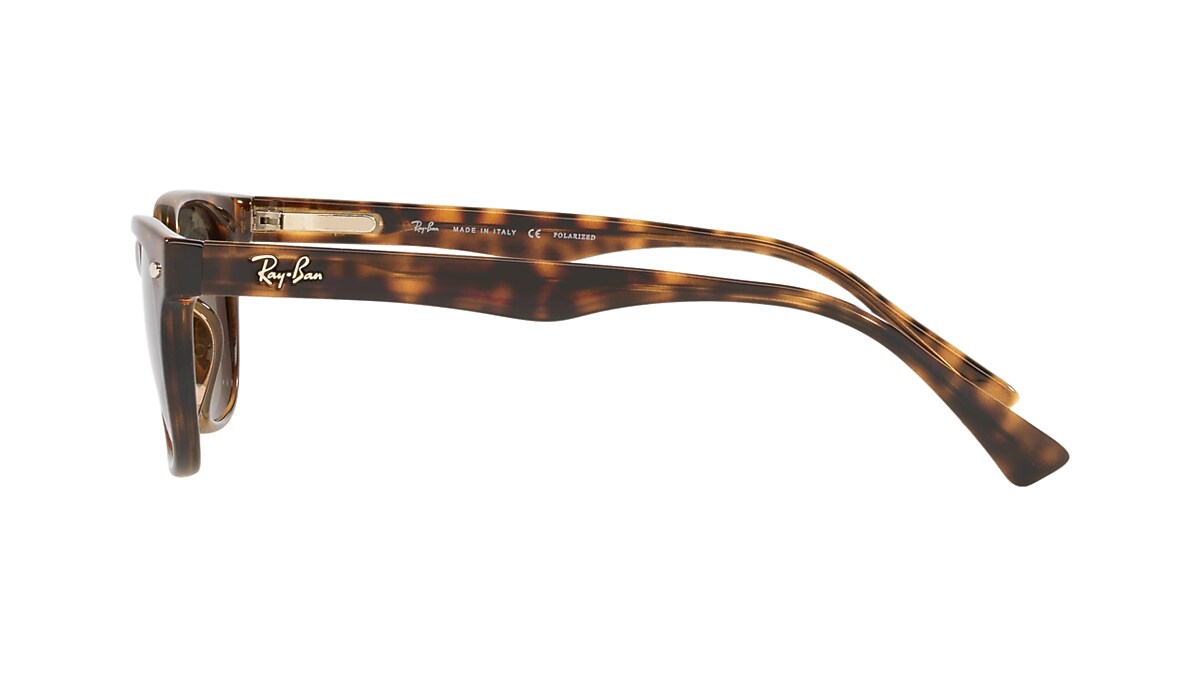 Sunglasses Ray-Ban RB4140 | Free Shipping | Glasses.com®