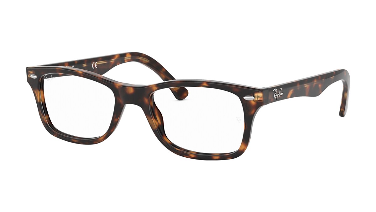 Ray-Ban レイバン 偏光サングラス プレミア生産終了モデル