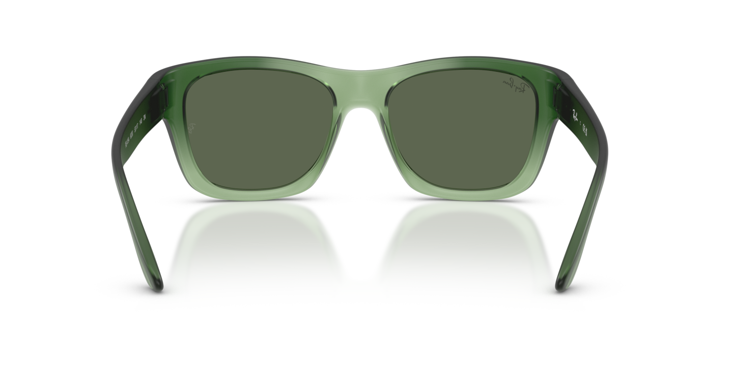 Ray-Ban RB4194 _STD__shad__bk