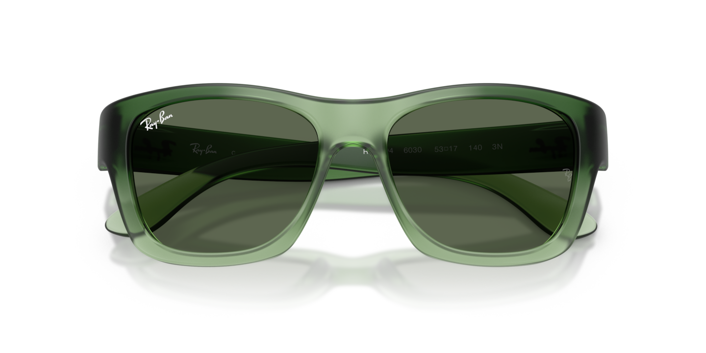 Ray-Ban RB4194 _STD__shad__cfr