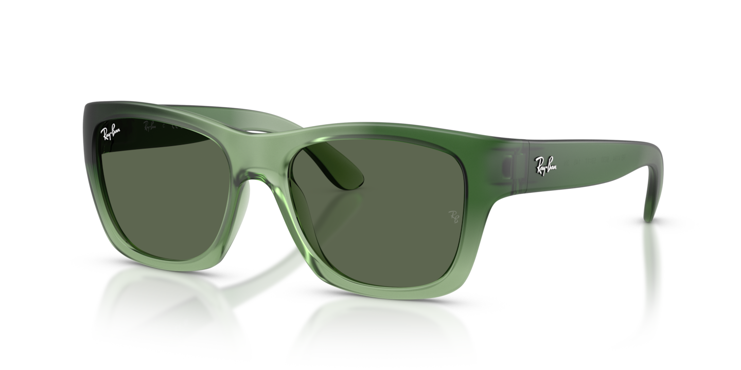 Ray-Ban RB4194 _STD__shad__qt