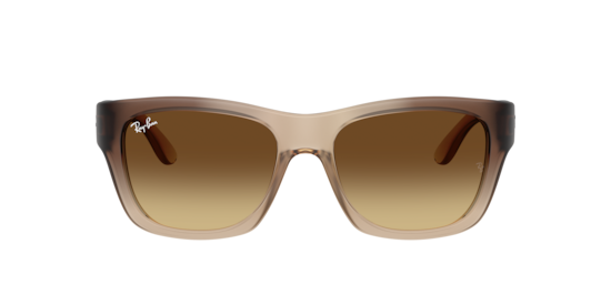 RB4194 Ray-Ban Brown Demi Gloss