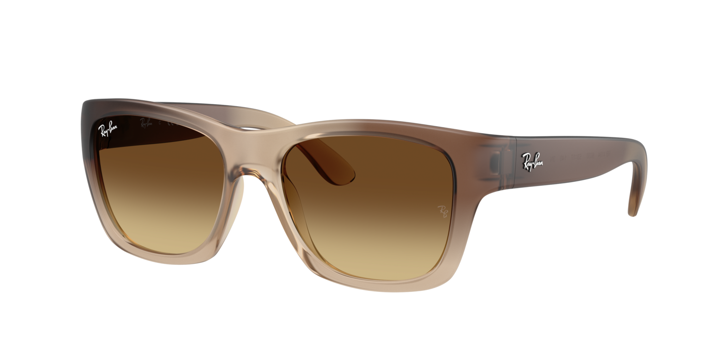 Ray-Ban RB4194 Brown Demi Gloss