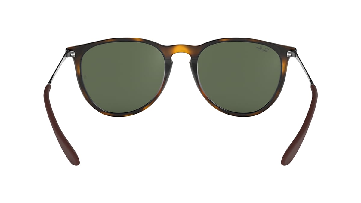 Ray ban 2024 erika havana green