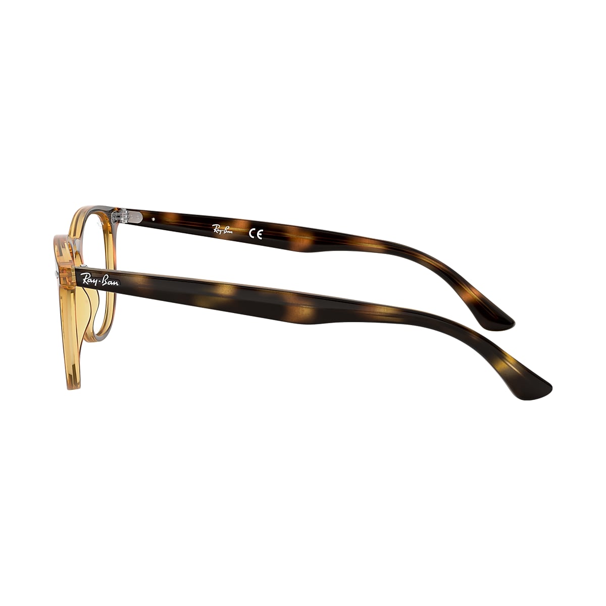 Ray-Ban Havana Eyeglasses | Glasses.com® | Free Shipping