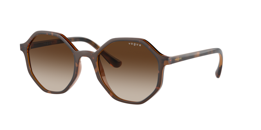 Vogue Eyewear Top Havana/ Brown Transparent Sunglasses | Glasses