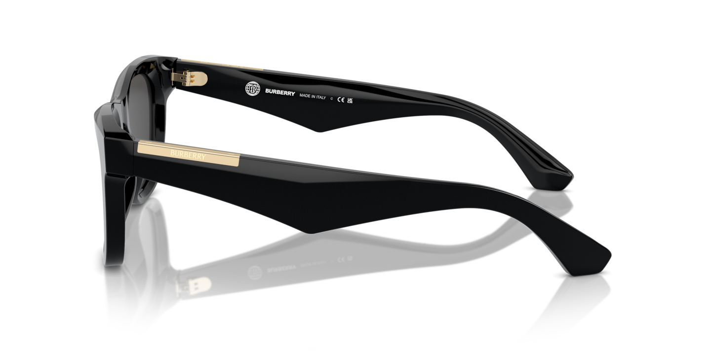 サングラス Burberry SS25 Burberry Acetate Sunglasses (0BE4435 MULTI) Sunglasses Burberry BE4426 | Free Shipping | Glasses.com®