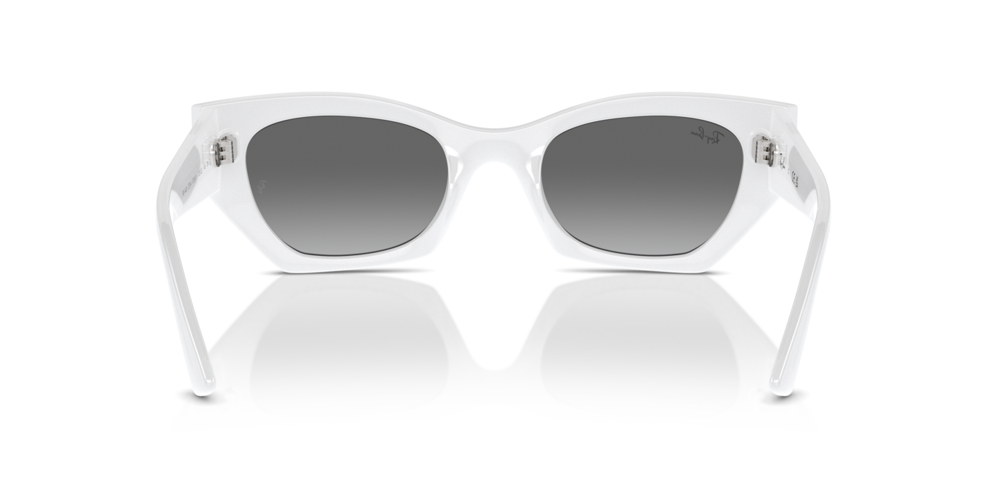Sunglasses Ray-Ban RB4430 Zena Bio-Based | Free Shipping