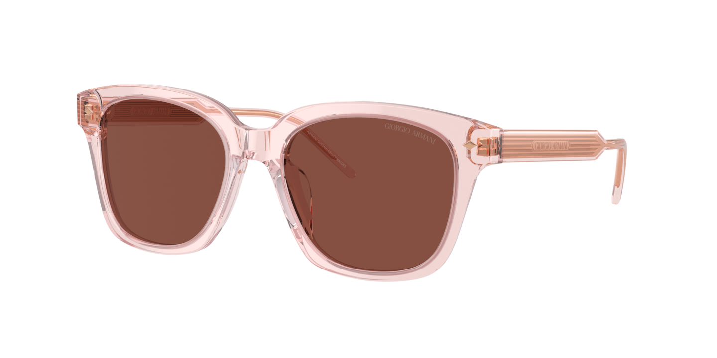 Giorgio Armani AR8210U Transparent Pink