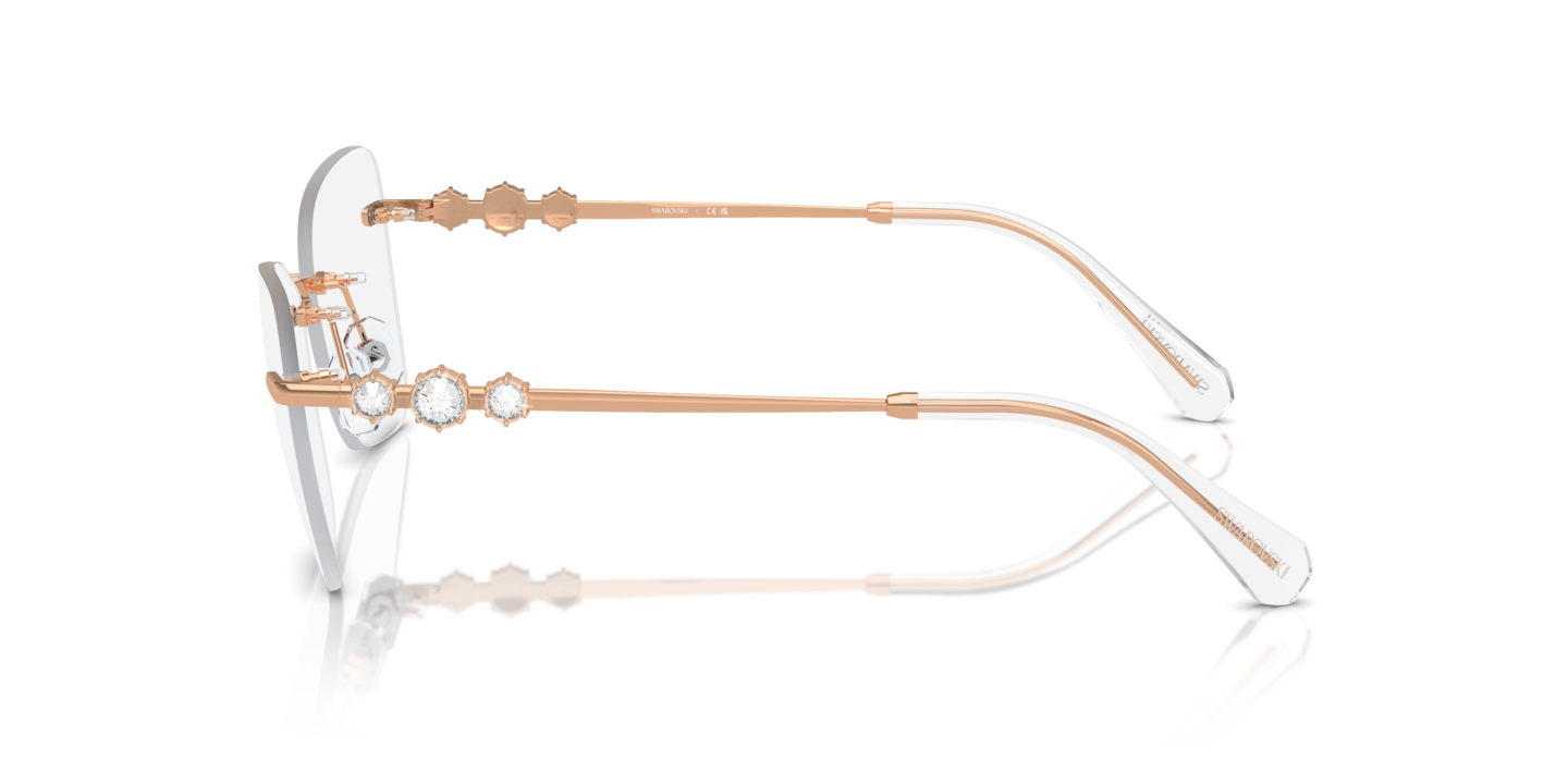 Eyeglasses Swarovski SK1014 | Free Shipping | Glasses.com®