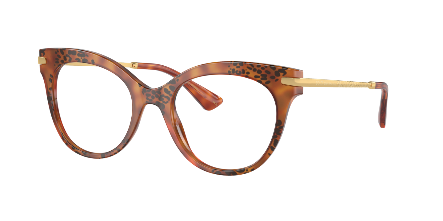 Dolce & Gabbana DG3392 Havana Leo