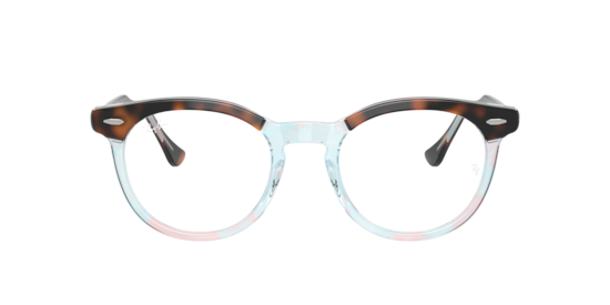 RB5598 Eagle Eye Optics Ray-Ban Dark Havana On Multicolor