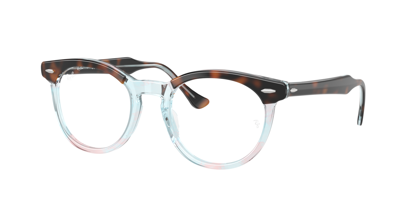 Ray-Ban RB5598 Eagle Eye Optics Dark Havana On Multicolor