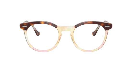 RB5598 Eagle Eye Optics Ray-Ban Light Havana On Multicolor