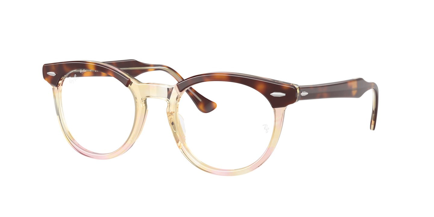Ray-Ban RB5598 Eagle Eye Optics Light Havana On Multicolor