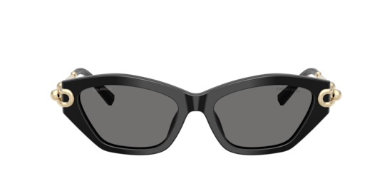 TF4231U Tiffany Black