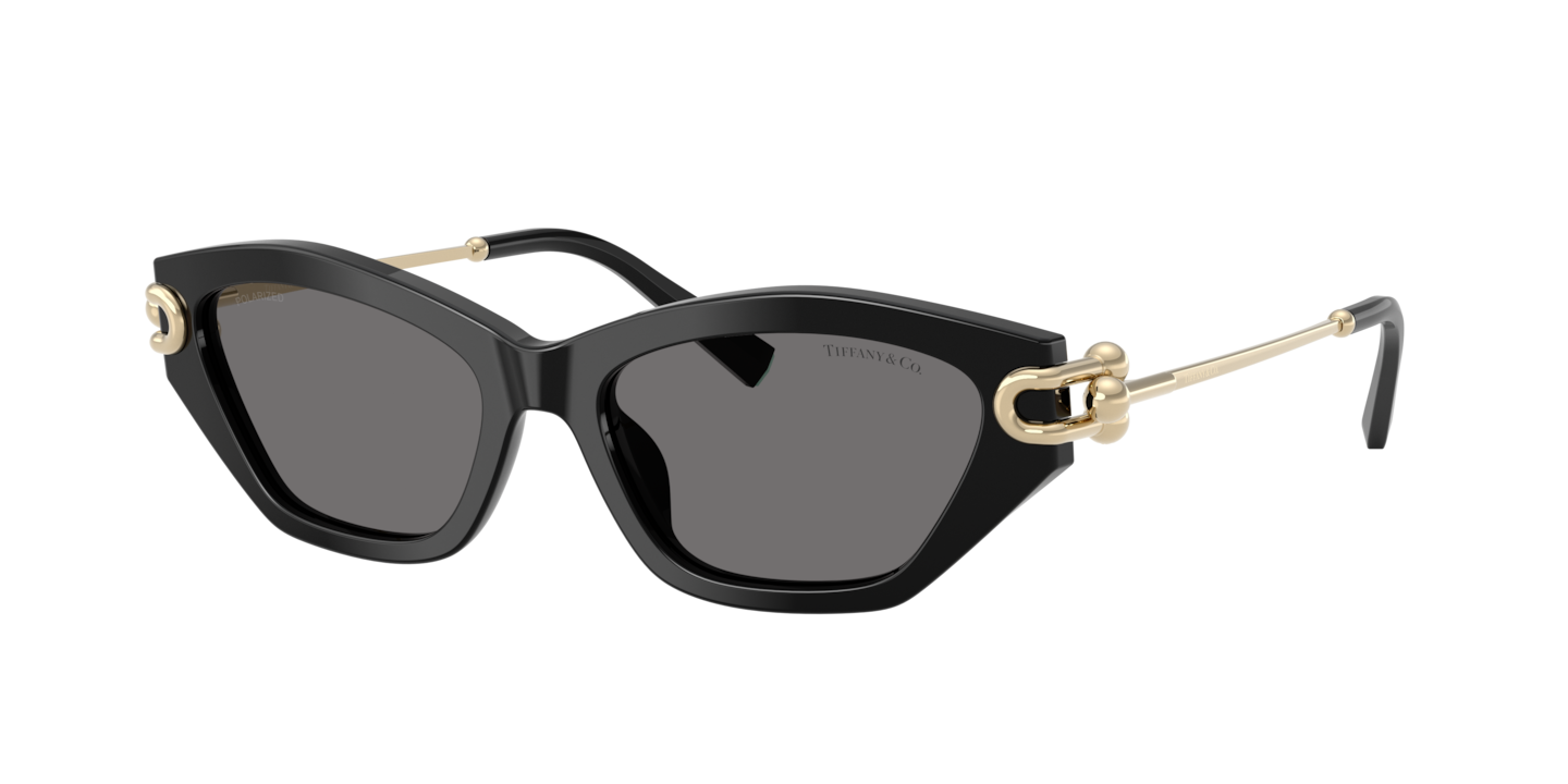 Tiffany TF4231U Black