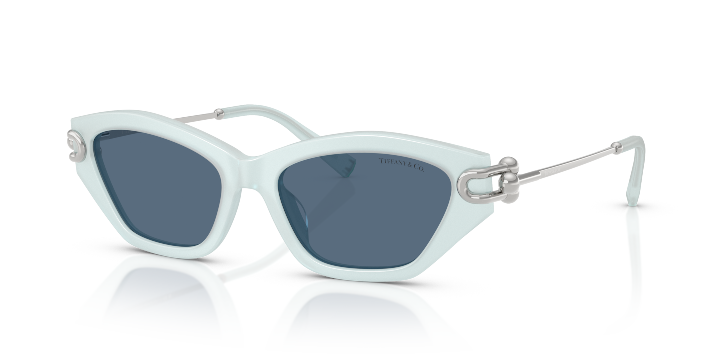 Tiffany & Co. サングラス TIFFANY&Co. ティファニー 偏光サングラス NewModel TF4209D