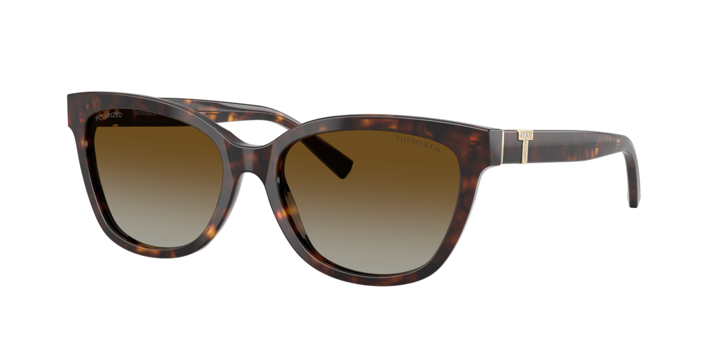 Tiffany TF4237B Havana