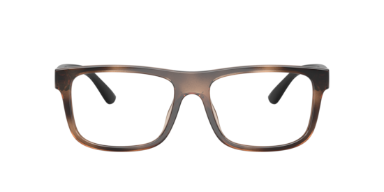 PH2290U Polo Ralph Lauren Shiny Havana