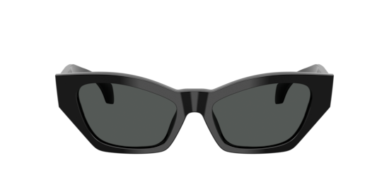 VE4488U Versace Black