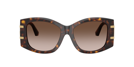 DG4501 Dolce & Gabbana Havana