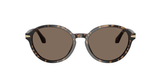 AR8237 Giorgio Armani Havana Beige