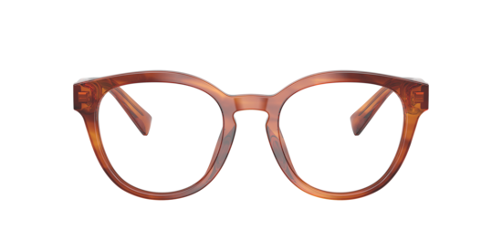 DG3421 Dolce & Gabbana Striped Ginger